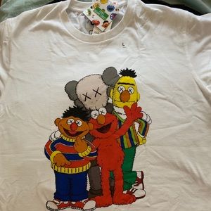 Kaws Sesame Street